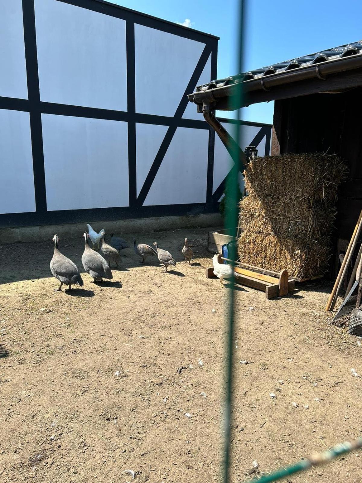 Pokoje Goscinne Nad Morzem Bobolin Exterior foto
